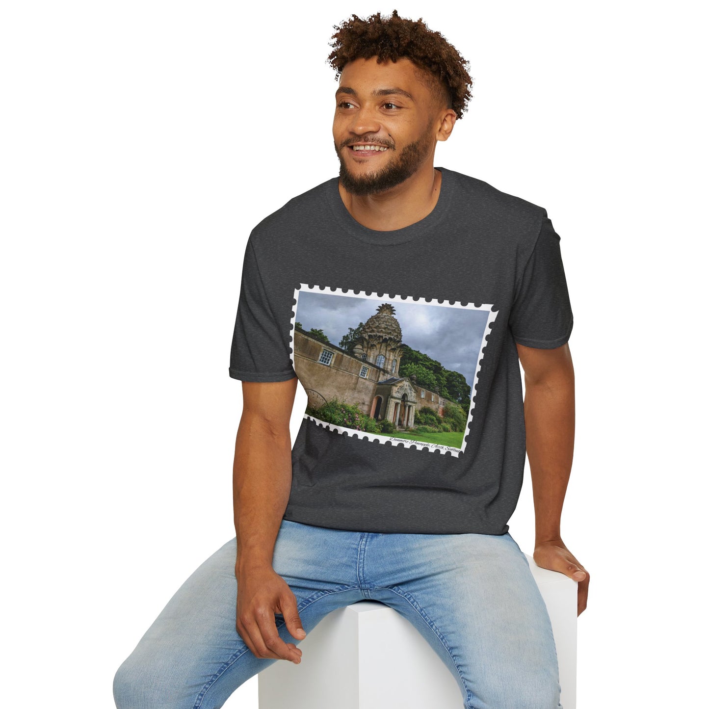 تي شيرت Postcard Dunmore Pineapple Photo Softstyle، تي شيرت للجنسين، قميص اسكتلندا، ألوان مختلفة