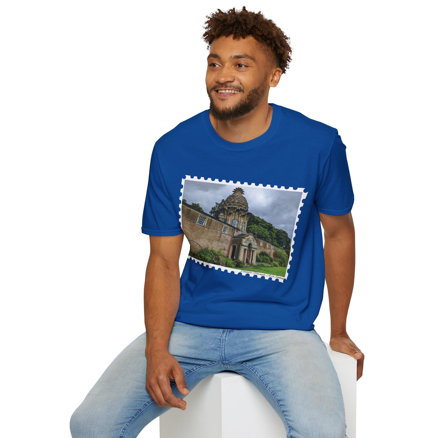 تي شيرت Postcard Dunmore Pineapple Photo Softstyle، تي شيرت للجنسين، قميص اسكتلندا، ألوان مختلفة