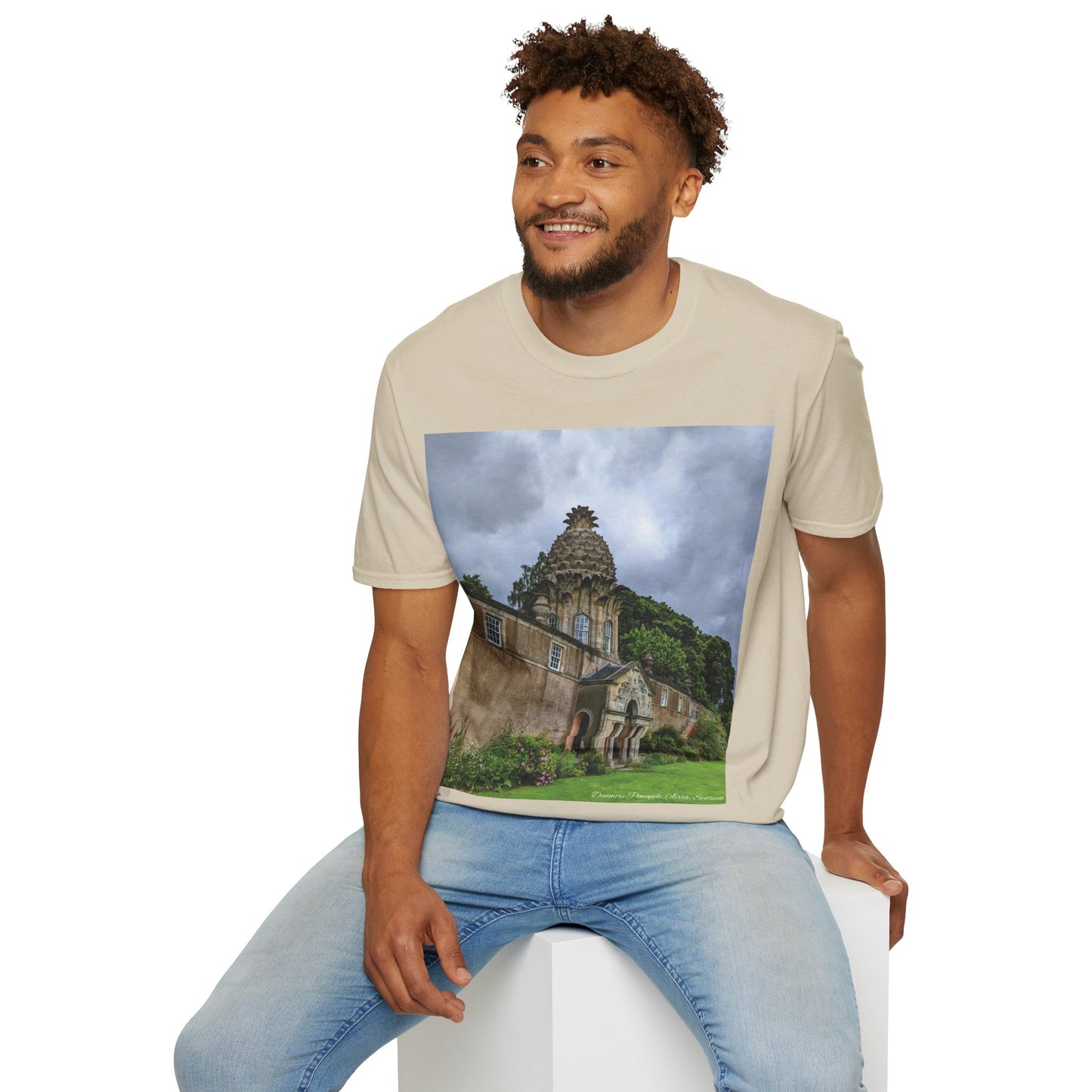 Dunmore Pineapple Photo Softstyle T-Shirt, Unisex Tee, Scotland Shirt, Scottish Landmark, Nature, Scenery, Various Colours