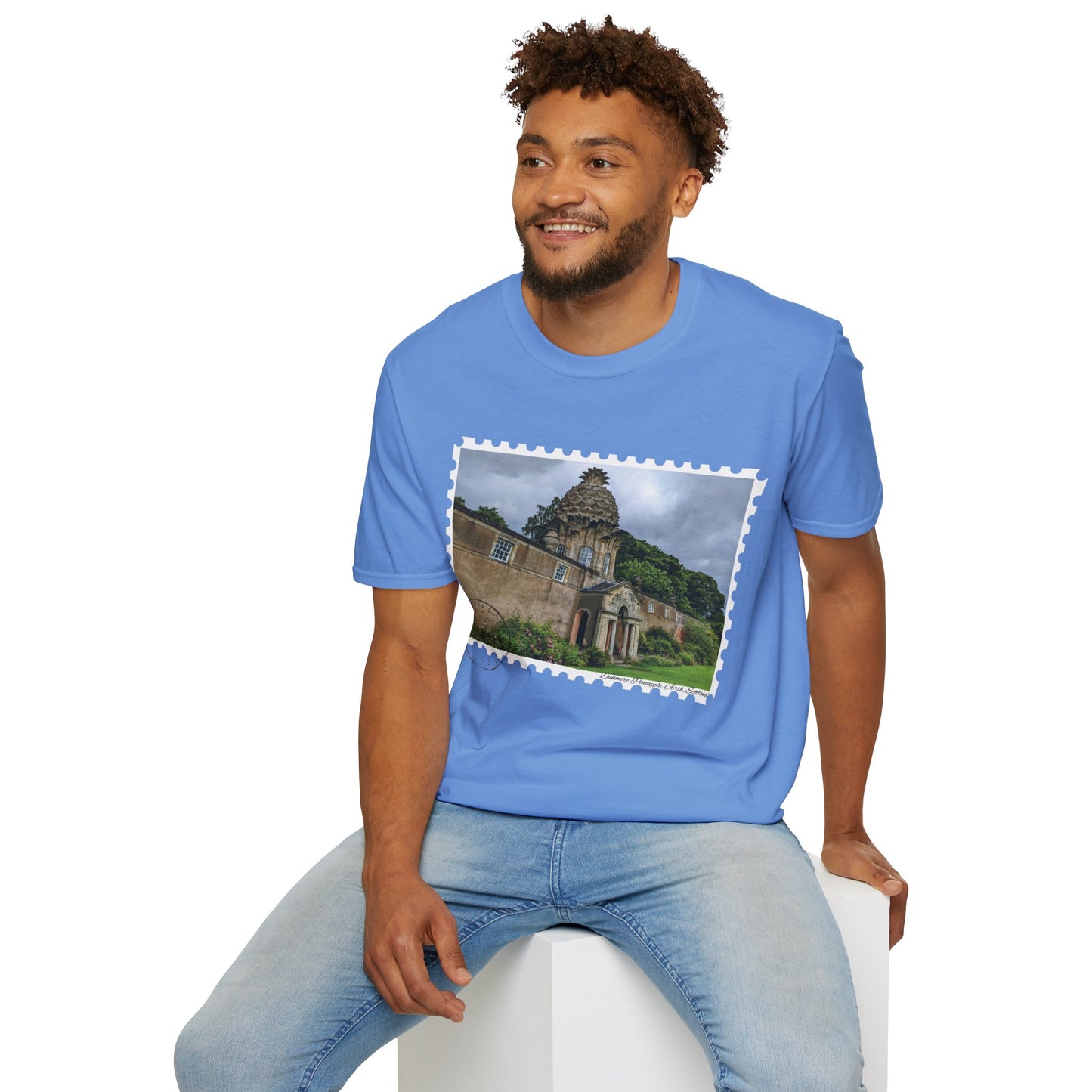 تي شيرت Postcard Dunmore Pineapple Photo Softstyle، تي شيرت للجنسين، قميص اسكتلندا، ألوان مختلفة