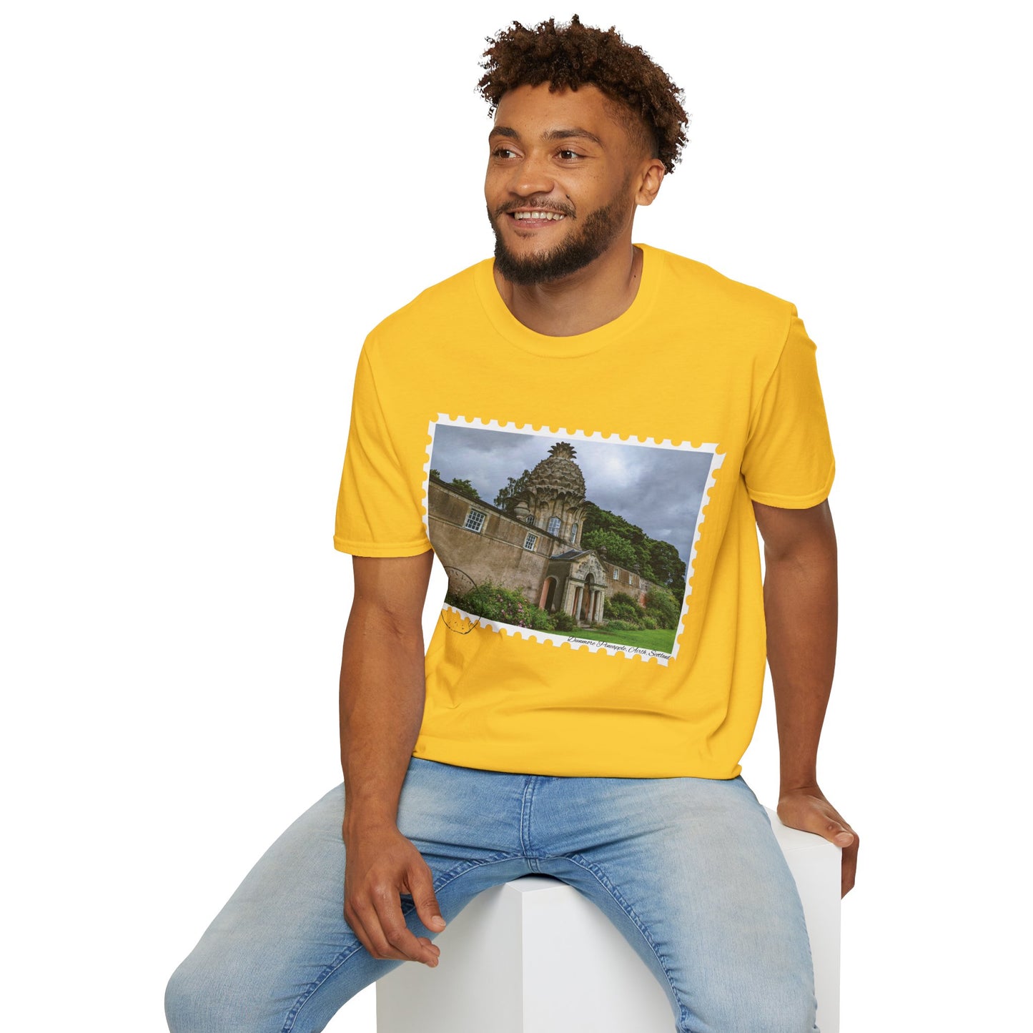 تي شيرت Postcard Dunmore Pineapple Photo Softstyle، تي شيرت للجنسين، قميص اسكتلندا، ألوان مختلفة