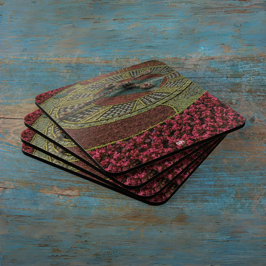 Scotland Up Close Cork Coaster Set - Various Scenes
