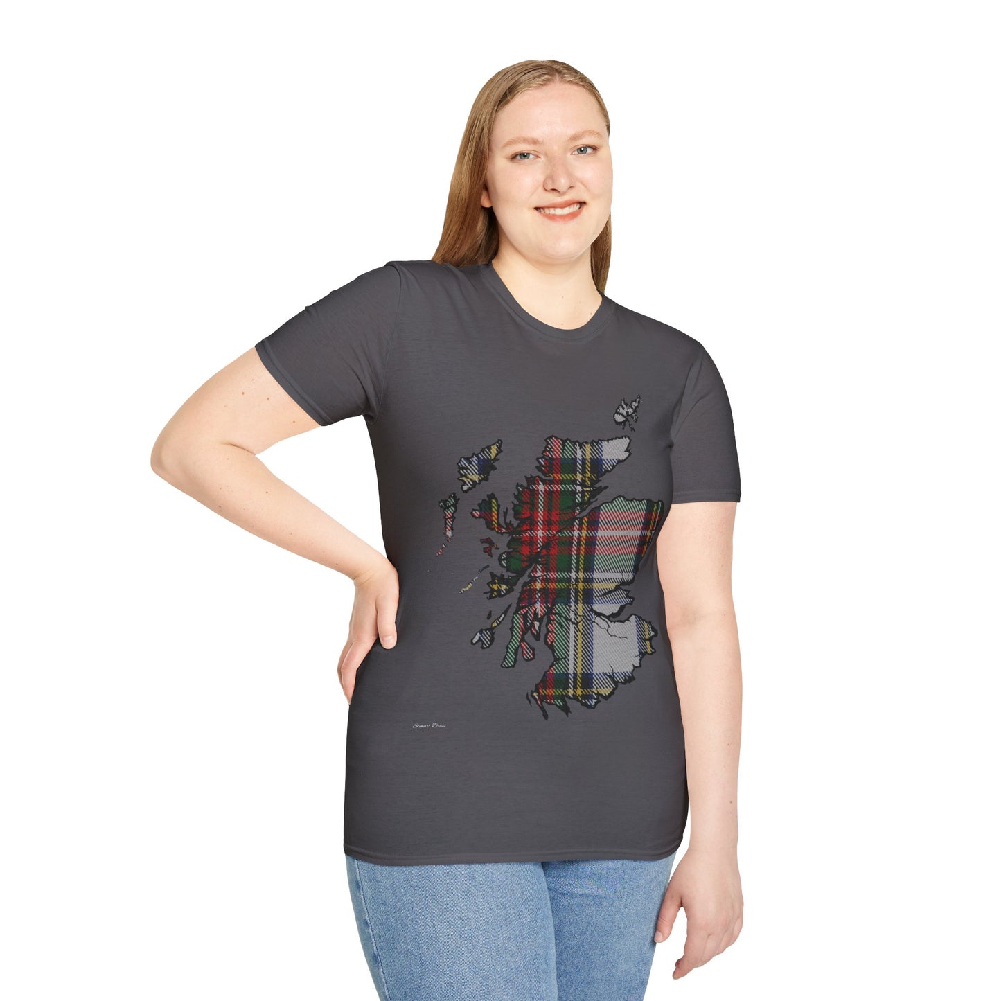 Scotland Tartan Map Softstyle Unisex T-Shirt, Stewart Dress Tartan, Various Colours