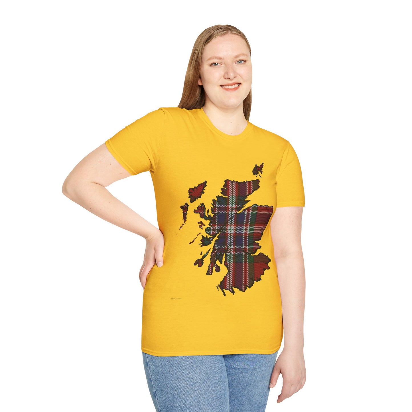 Scotland Tartan Map Softstyle Unisex T-Shirt, MacFarlane Tartan, Various Colours