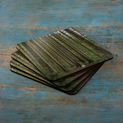 Scotland Up Close Cork Coaster Set - Various Scenes