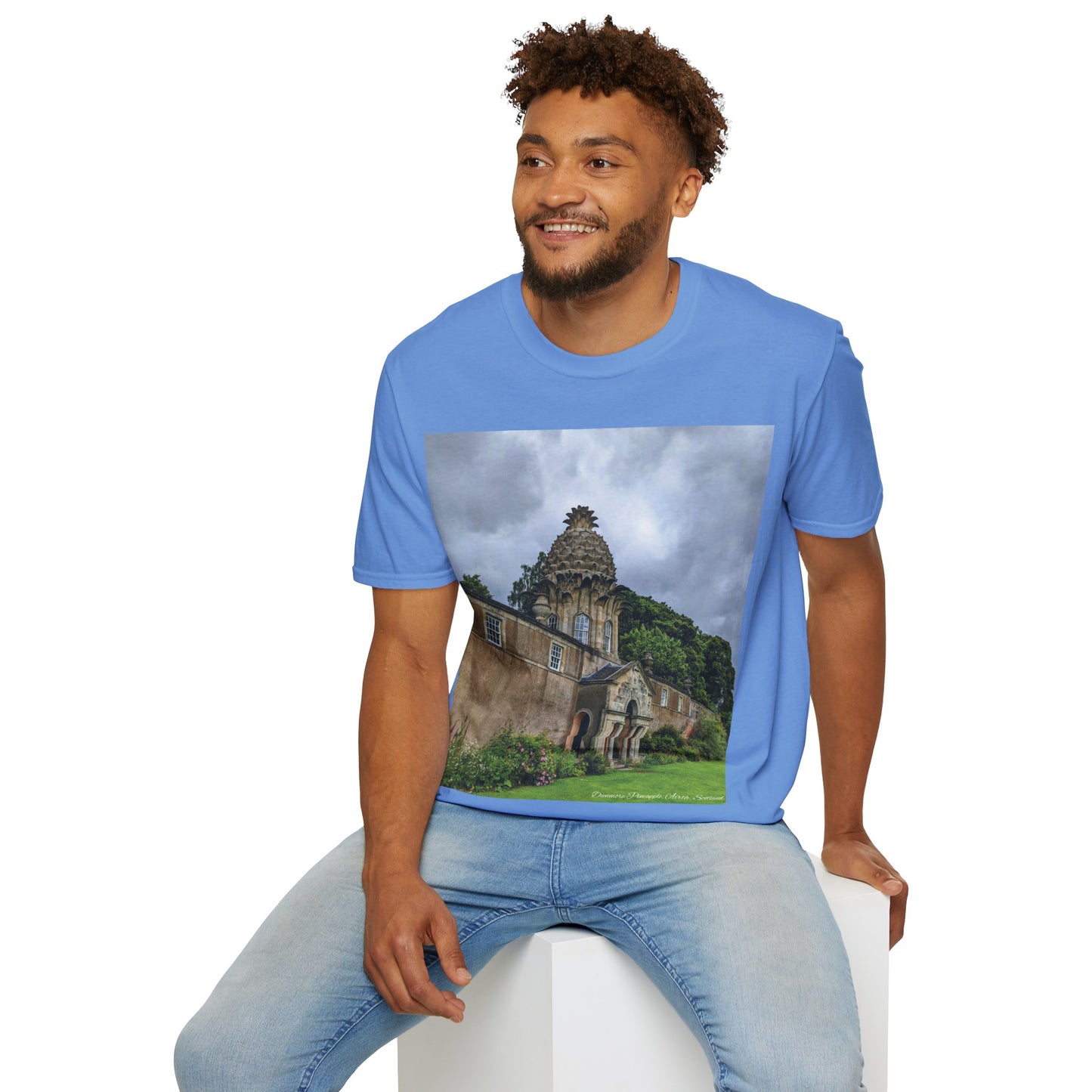 Dunmore Pineapple Photo Softstyle T-Shirt, Unisex Tee, Scotland Shirt, Scottish Landmark, Nature, Scenery, Various Colours