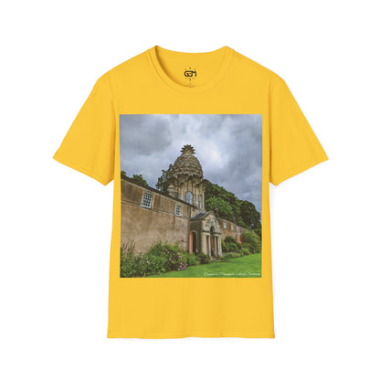 Dunmore Pineapple Photo Softstyle T-Shirt, Unisex Tee, Scotland Shirt, Scottish Landmark, Nature, Scenery, Various Colours