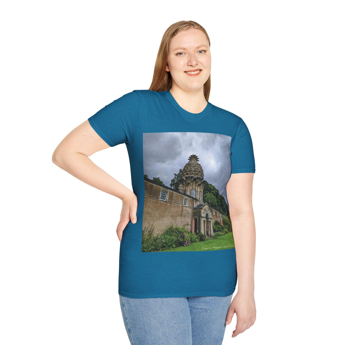 Dunmore Pineapple Photo Softstyle T-Shirt, Unisex Tee, Scotland Shirt, Scottish Landmark, Nature, Scenery, Various Colours