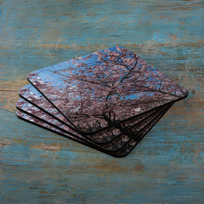 Scotland Up Close Cork Coaster Set - Various Scenes